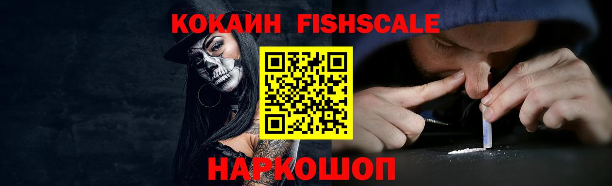 КОКАИН FishScale Камышин