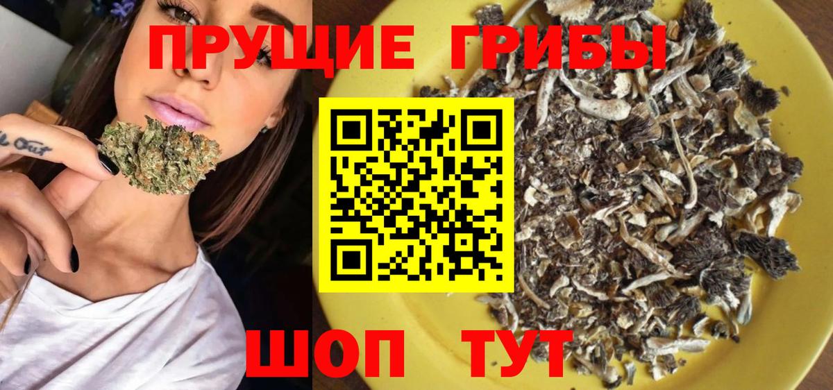 Псилоцибиновые грибы Cubensis Камышин