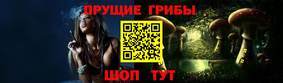 Псилоцибиновые грибы GOLDEN TEACHER  Вход с VPN  цены   Псилоцибиновые грибы прущие грибы  Камышин 